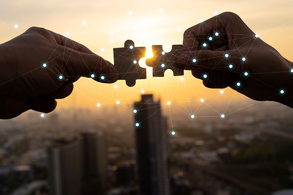 Projects & Partnerships